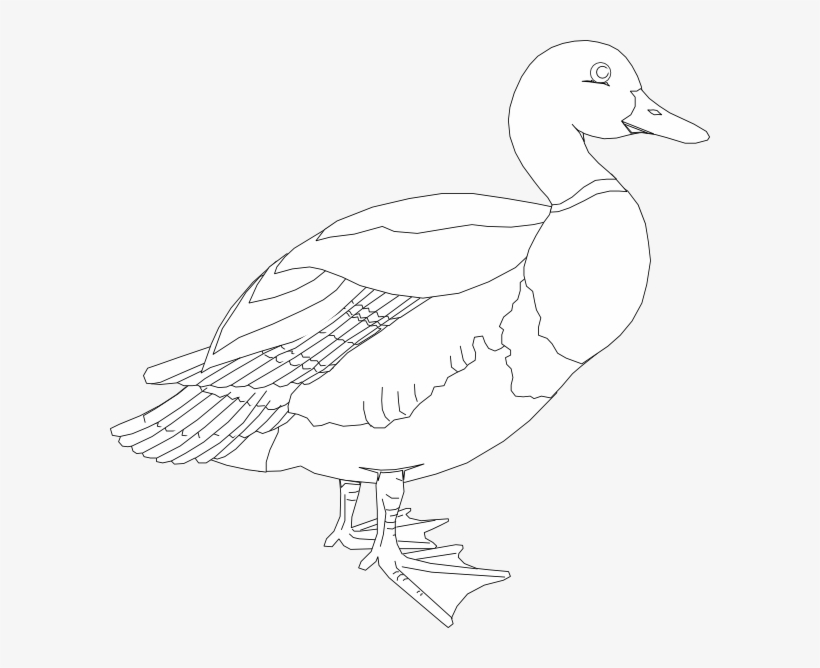 Clip Art, transparent png #3618563