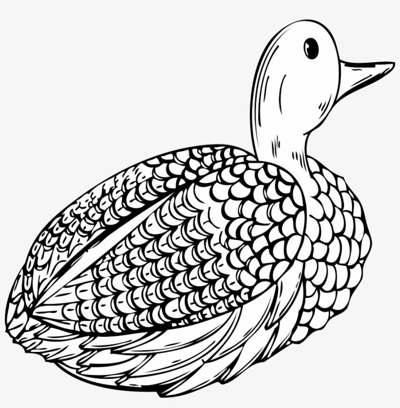 Duck, transparent png #3618609