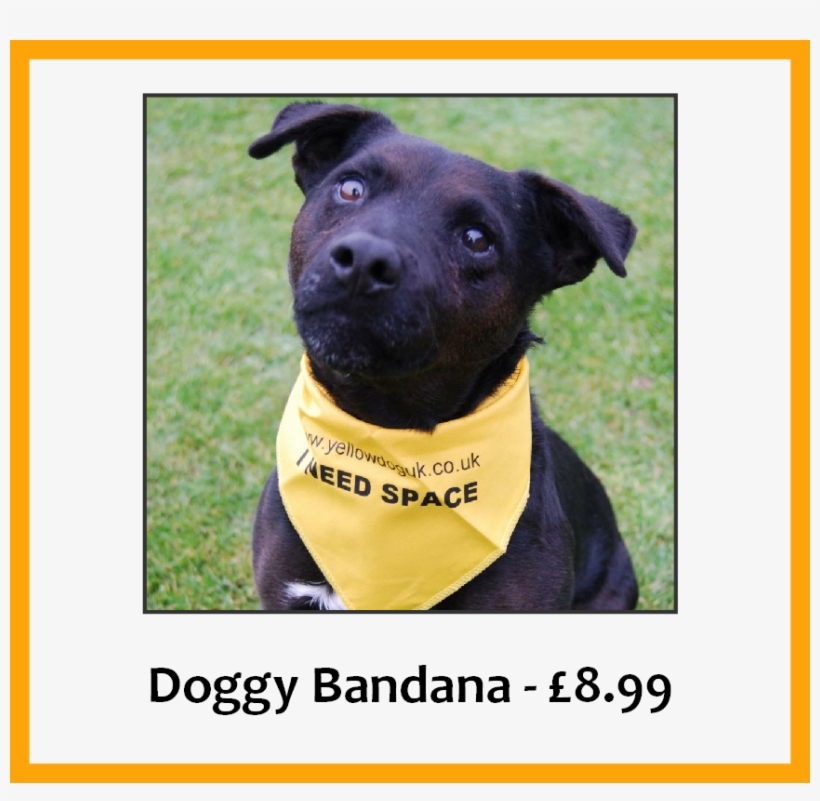 Dog Bandana - Bandana On Dog Meaning, transparent png #3618823