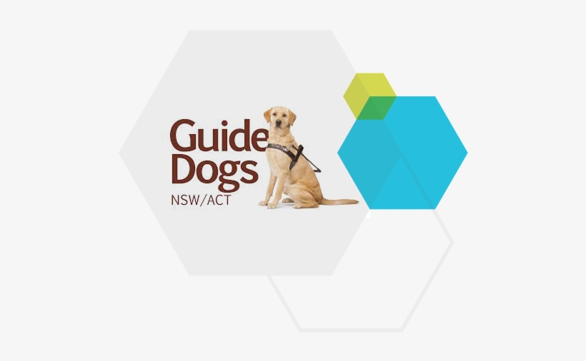 Forum Image About Guide Dogs - Guide Dogs Nsw, transparent png #3618942