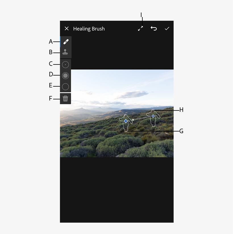 Using The Heal Tool To Remove The Unwanted Object From Adobe