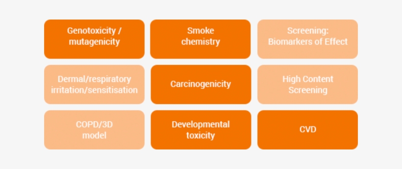 Next Generation Products - Cool Scorecard, transparent png #3619324
