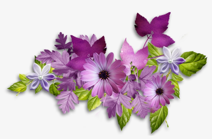 And Developers On A Variety Of Topics Ranging From - Flower, transparent png #3620149