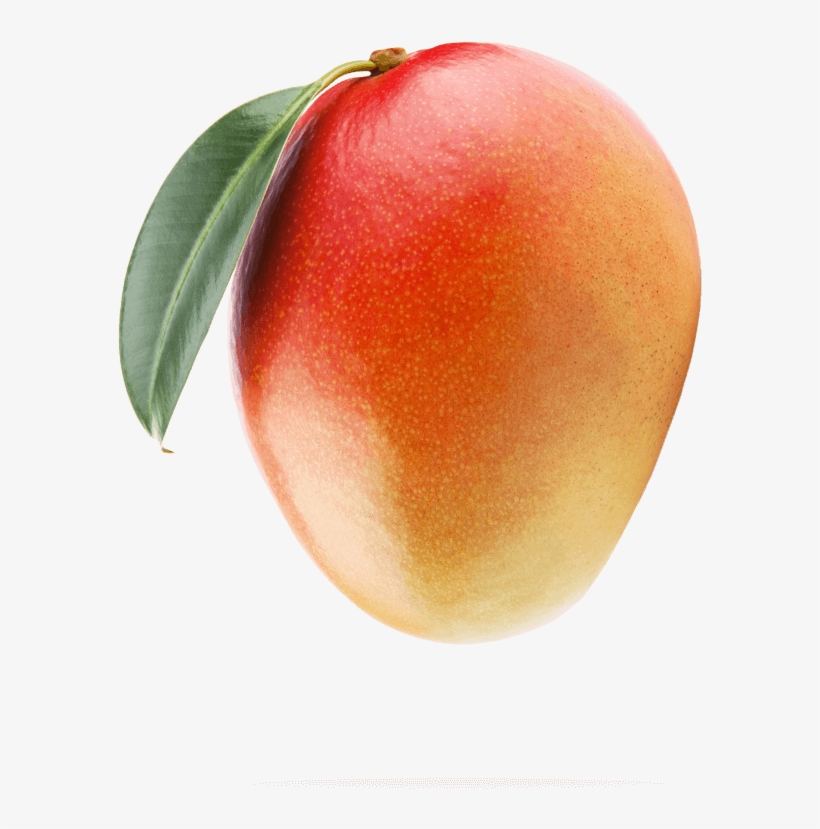 Think Mangos - Mango Transparent, transparent png #3624082