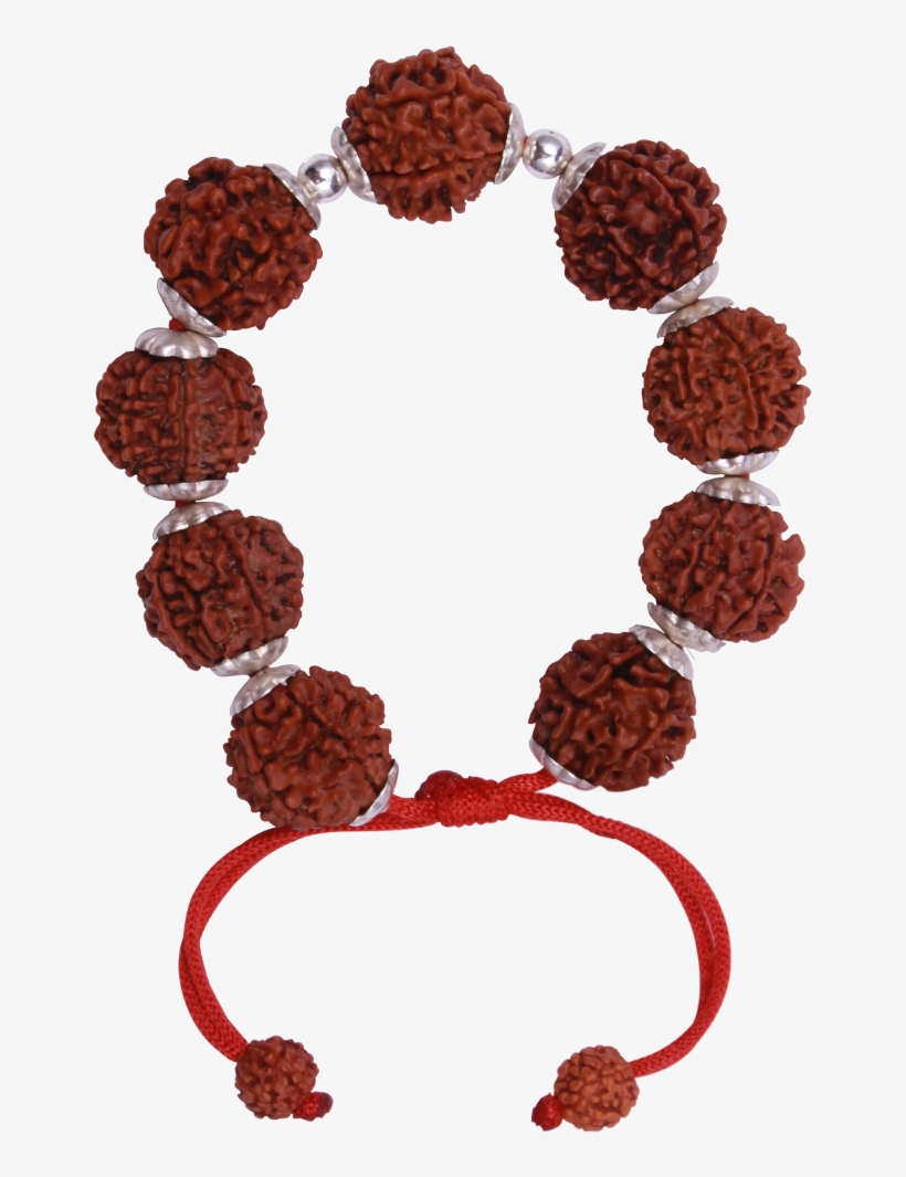 Mahalaxmi Bracelet - Vector Graphics, transparent png #3624165