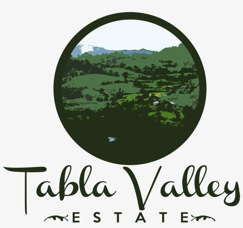 Tabla Valley Estate - Bahia, transparent png #3624279