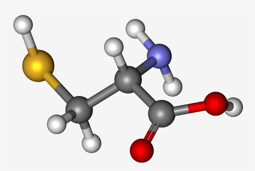 Cysteine Ball And Stick, transparent png #3624475