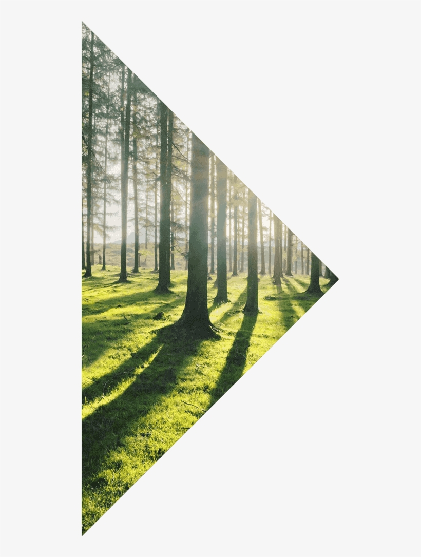 Case Study - Topex Design F70-c-015 Acqua Glass 28" White Glass, transparent png #3624781