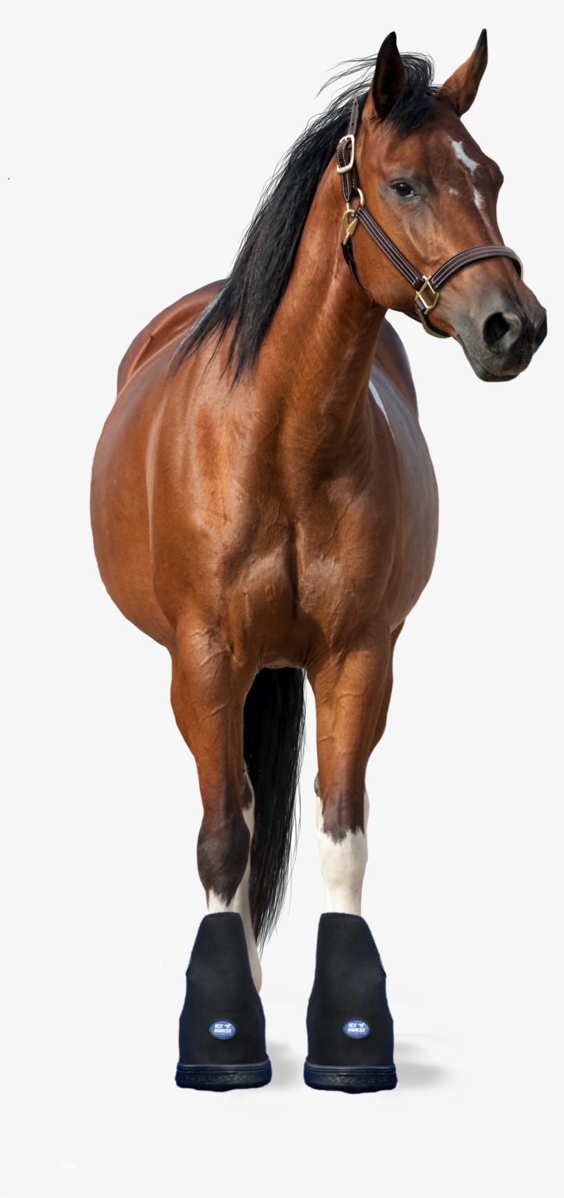 2 Icehorse Pro Therapy Big Black Boots Size Small, - Horse Facing Front Png, transparent png #3624819
