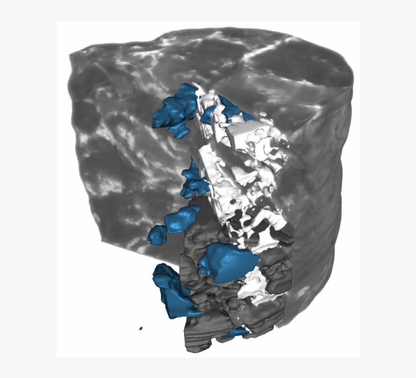 Degradation - Common Fig, transparent png #3624882