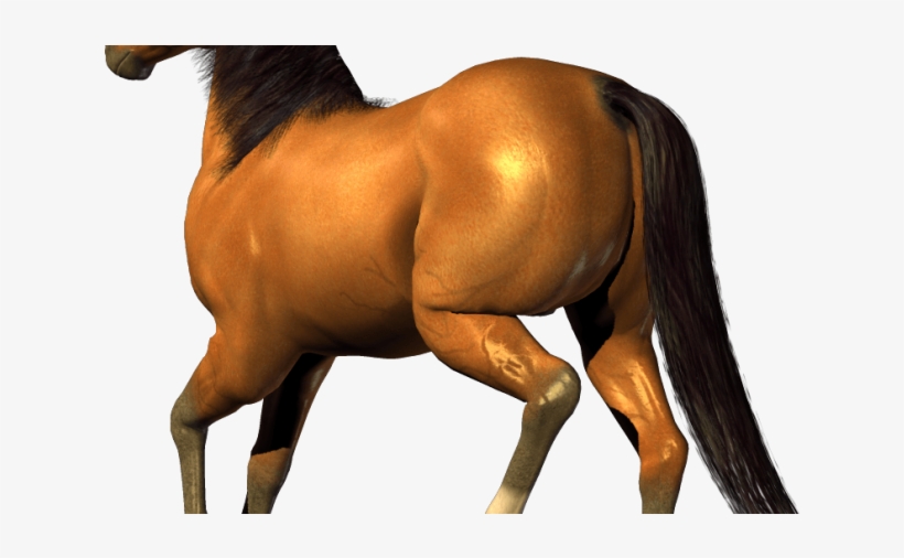 Horse Png Image Download Picture Transparent Background - Horse Clipart Transparent Background, transparent png #3625076