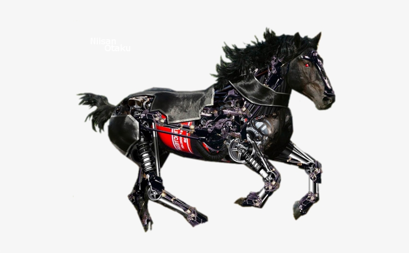 Hupoart - Weebly - Com - Chimpanzee Riding A Horse, transparent png #3625081