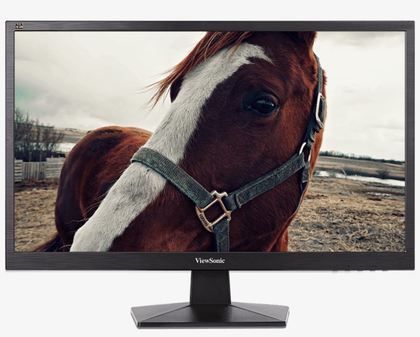 Monitor Showing Resolution - You Should Get Me A Horse, transparent png #3625143