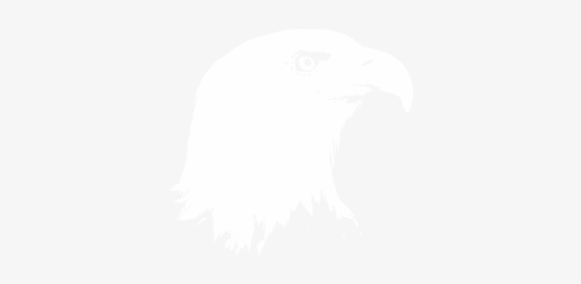 The Vision For Greatness The Guts To Fly Through The - Types Of Bird In The Taiga, transparent png #3626558