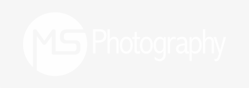 Michael Serna Photography - Ms Photography Logo Png, transparent png #3626814