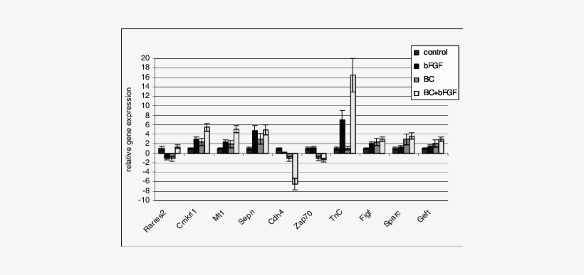 Changes In The Relative Expression Of Genes Related - Gene Expression, transparent png #3626901