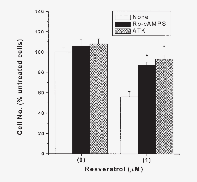 Effects Of The Kinase A Inhibitor , - Matrix Metalloproteinase, transparent png #3626931