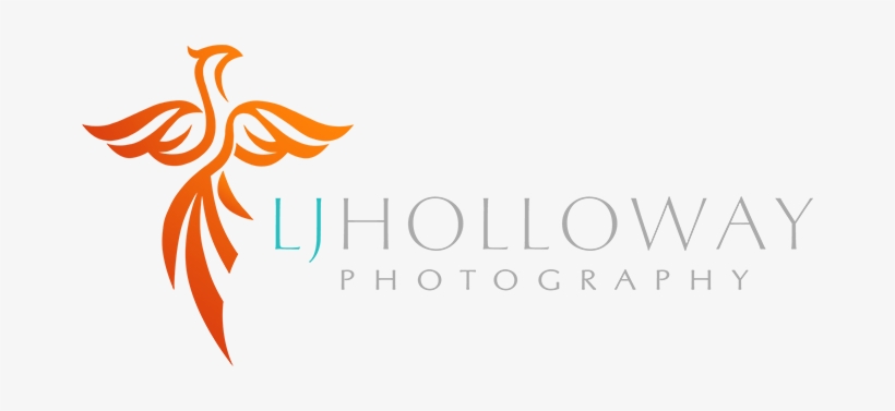 Home - Shop - Photography Brand Logo Transparent, transparent png #3626936