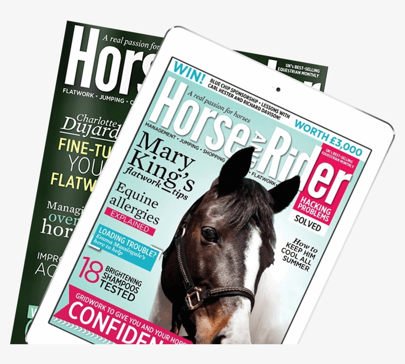 Subscribe To The Magazine - Magazine, transparent png #3627548