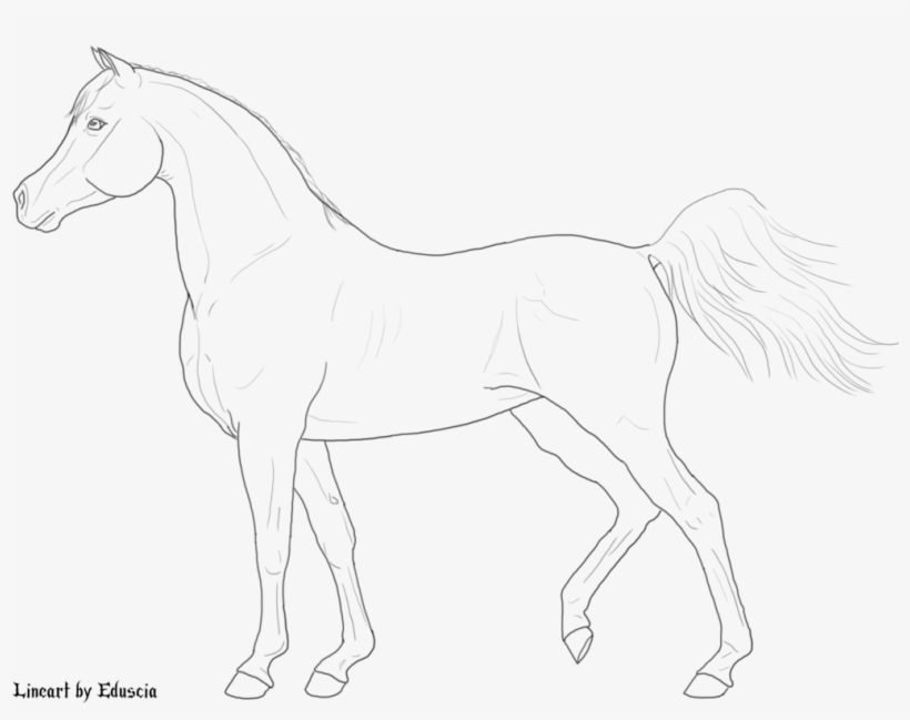 Free Horse Lineart By Eduscia On Deviantart - Horse, transparent png #3627669