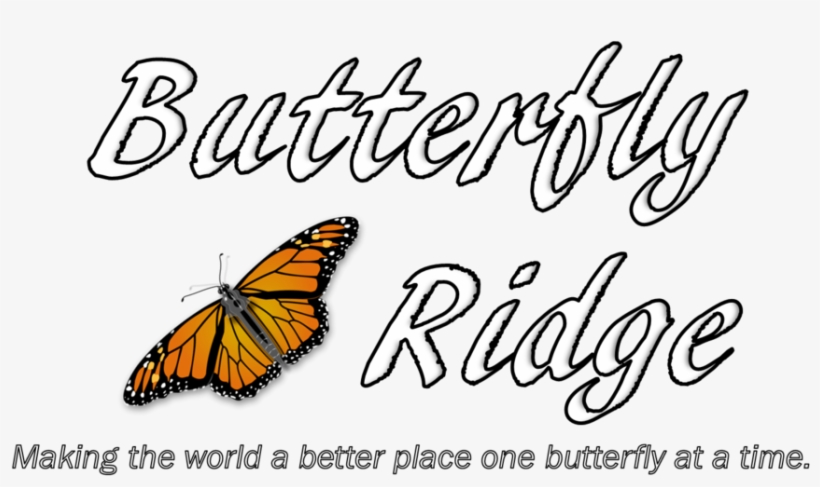 Png Images Butterflies, transparent png #3628115