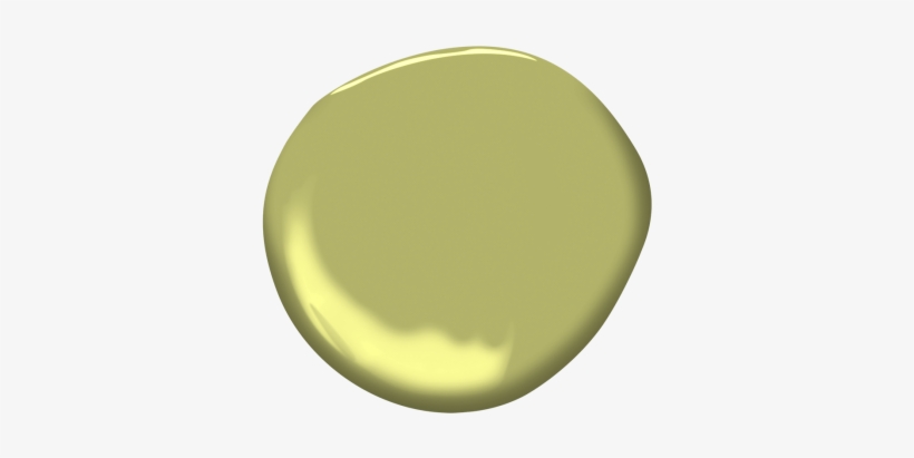 Parrot Green - Circle, transparent png #3628254