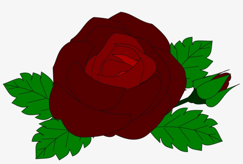 Garden Roses Flower Drawing Rose Family - Red Rose Favicon, transparent png #3628288