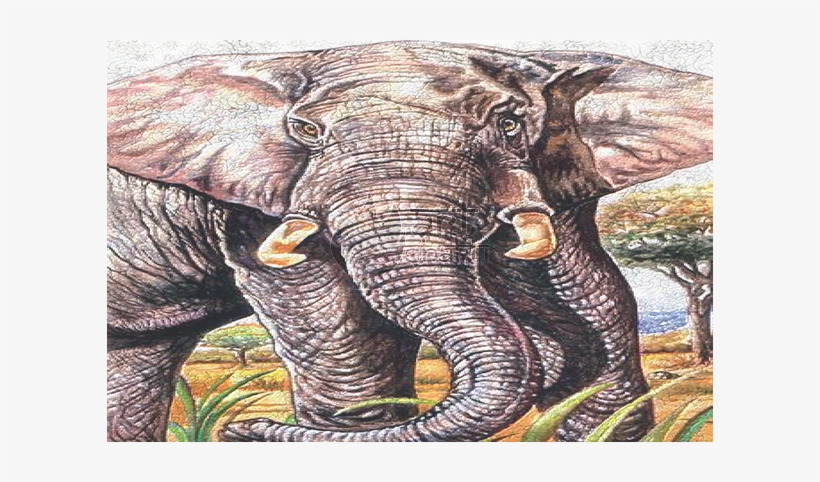 Indian Elephant, transparent png #3628459