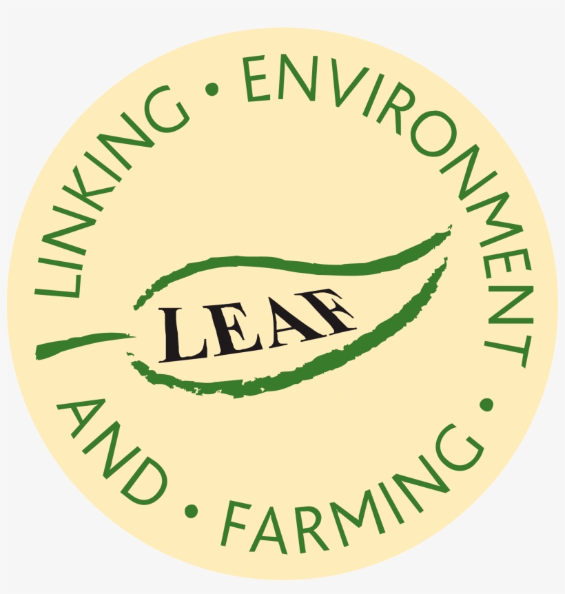 Engaging The Public In Sustainable Food And Farming - Leaf Linking Environment And Farming, transparent png #3628884