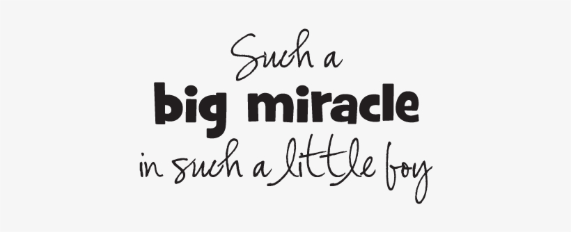 Best Dream Big Quotes For Kids Big Miracle Little Boy - Funny Little Brother Quotes From Big Sister, transparent png #3629466