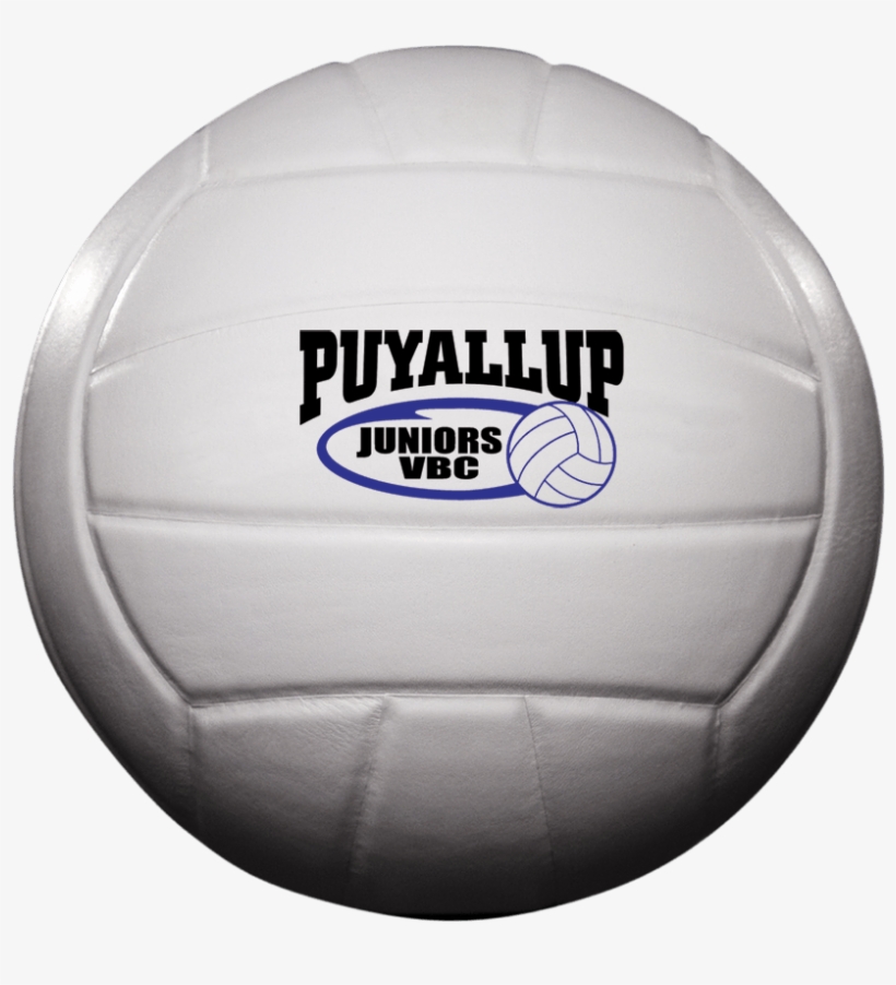 Custom Status X Leather Game Volleyball - Volleyball, transparent png #3629508