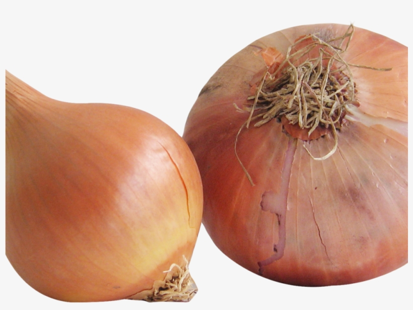 Onion Png Image1 - Portable Network Graphics, transparent png #3630056