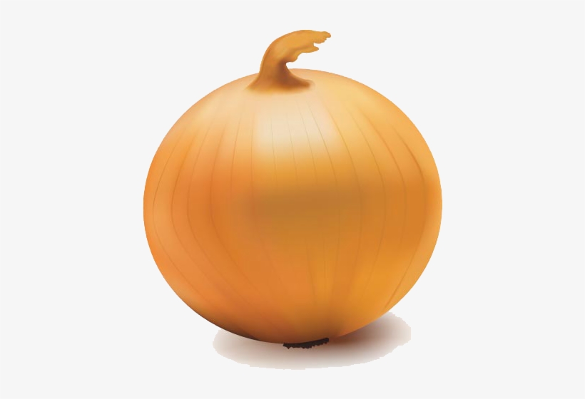 Onion Vector Transparent Png - Onion Transparent Background, transparent png #3630181