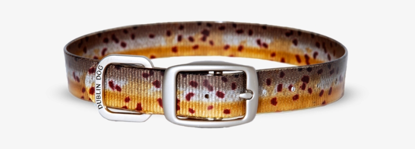 Brown Trout - Brook Trout All Style-no Stink Koa Collars By Dublin, transparent png #3630579