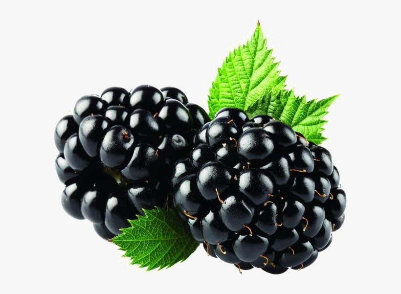 Blackberry Fruit Png Free Download - Blackberry Fizz Sticks Arbonne, transparent png #3631127