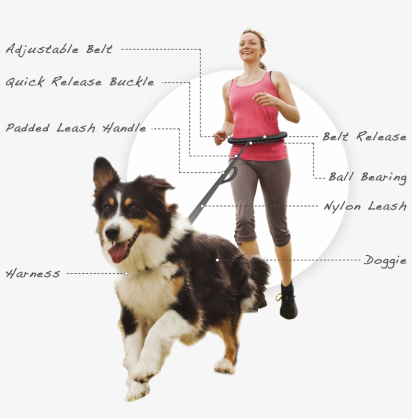 Belt2-02 - Fitness Runner With Dog, transparent png #3631245