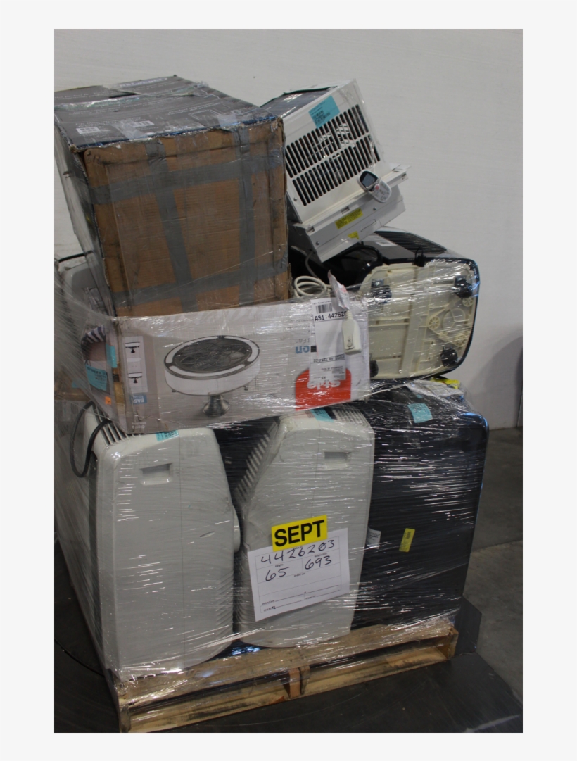 Auction - Trunk, transparent png #3631465