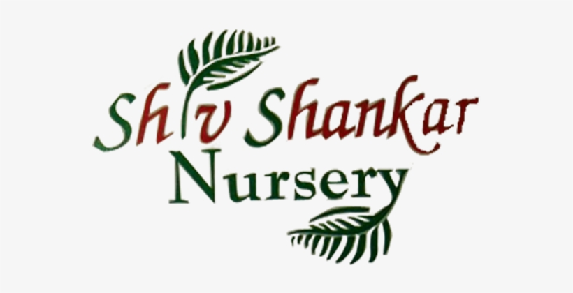 Logo, transparent png #3633059