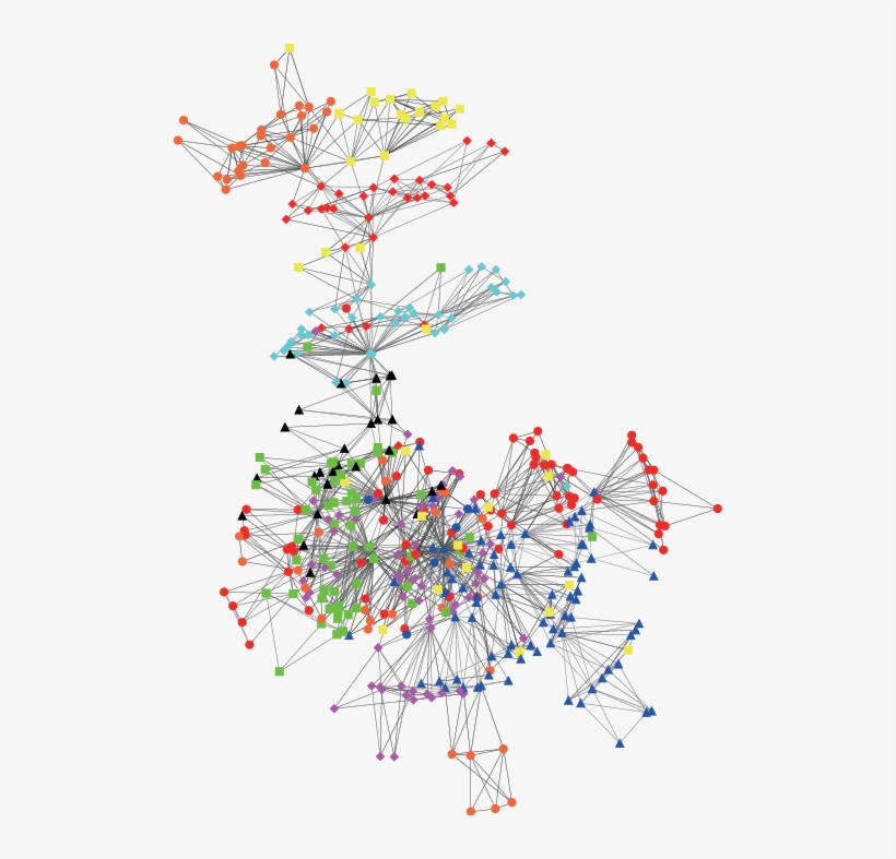 Planar Maximally Filtered Graph Of 457 Stocks In The - Takk Architecture, transparent png #3633236