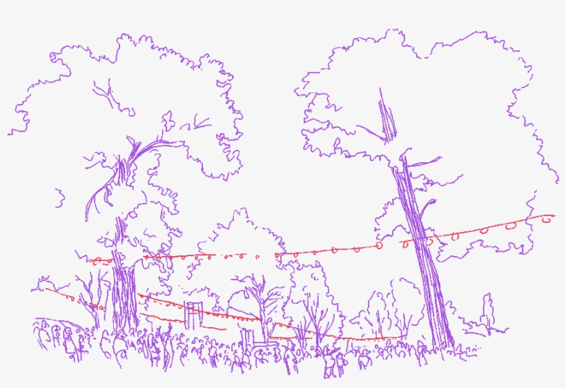 More About The Ballot - Ballot, transparent png #3634387