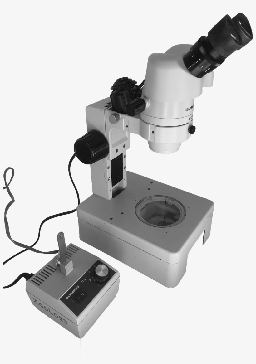 Dissecting Microscope And Light Source - Stereo Microscope, transparent png #3634633