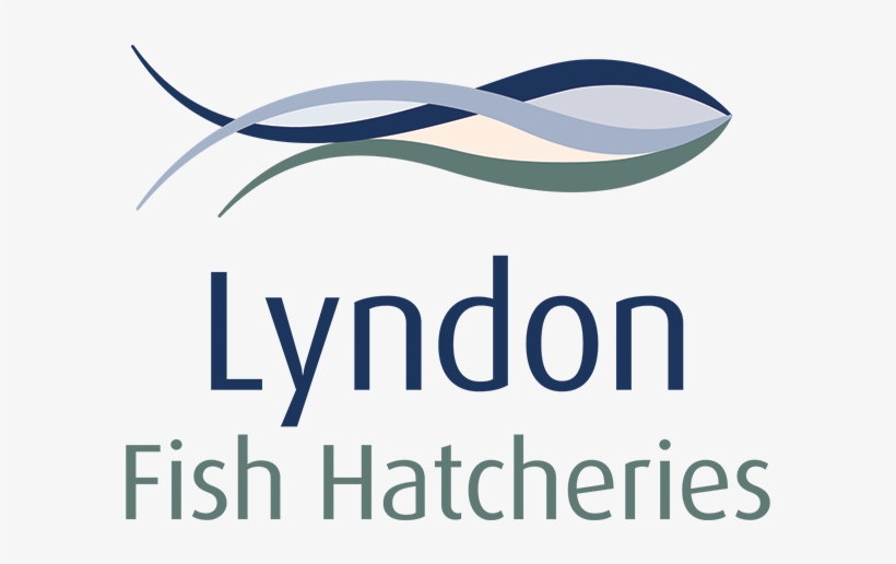 Lrg Lyndon Fish Hatcheries Colour - Lyndon Fish Hatcheries, transparent png #3634655