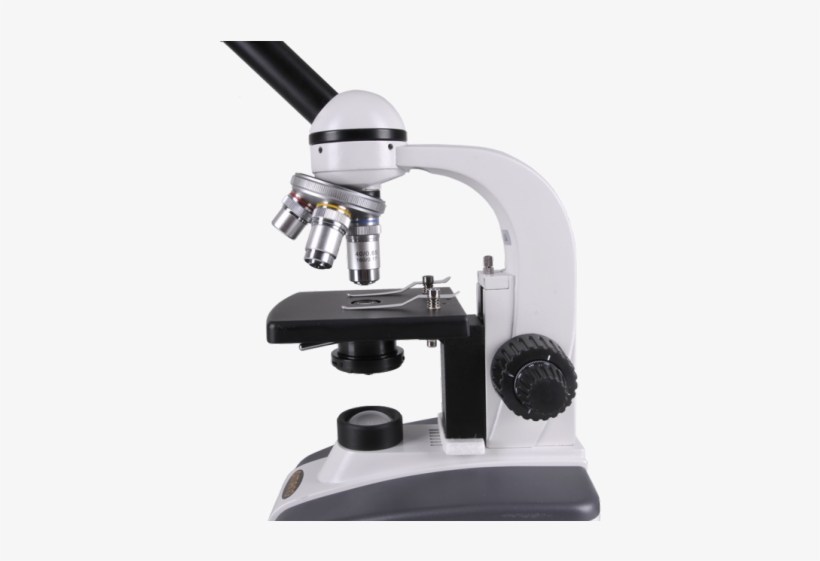 Microscope Png Transparent Images - Metropolis Pathology, transparent png #3634680