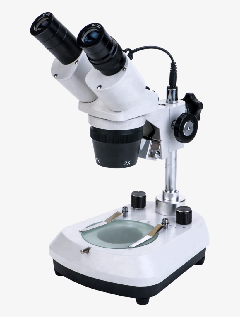 Xtd-206 Led Digital Binocular Stereo Microscope - Milling, transparent png #3634818