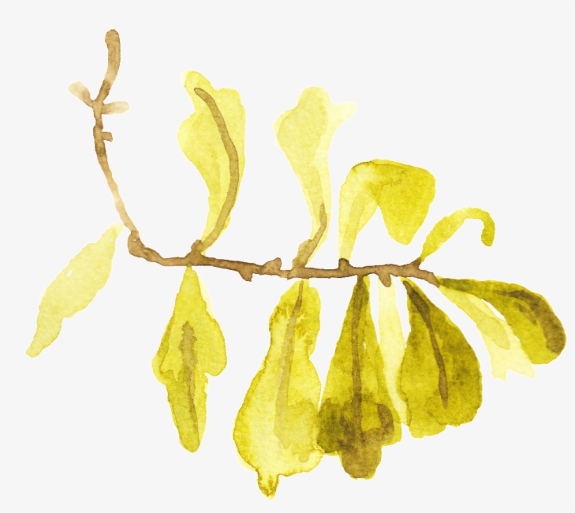 Dry Yellow Leaf Transparent Decorative - Clip Art, transparent png #3634875
