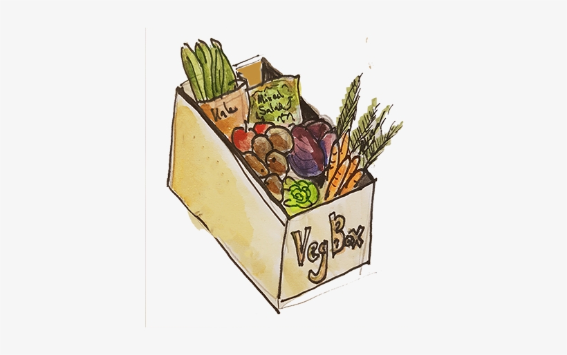 Veg Box 2 - Falkland Kitchen Farm, transparent png #3634977