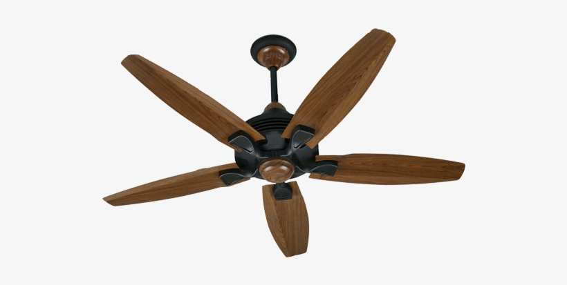 Iris - Royal Fan Price List 2018, transparent png #3635061