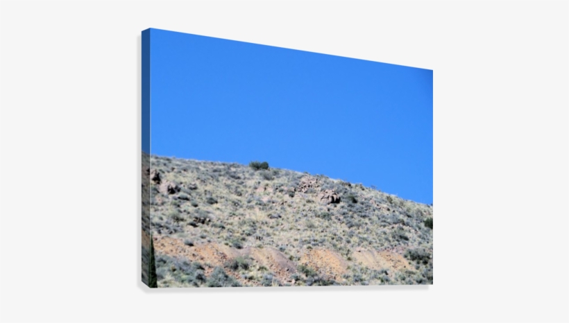 Rocks And Plants On The Mountain Side Canvas Print - Outcrop, transparent png #3635062