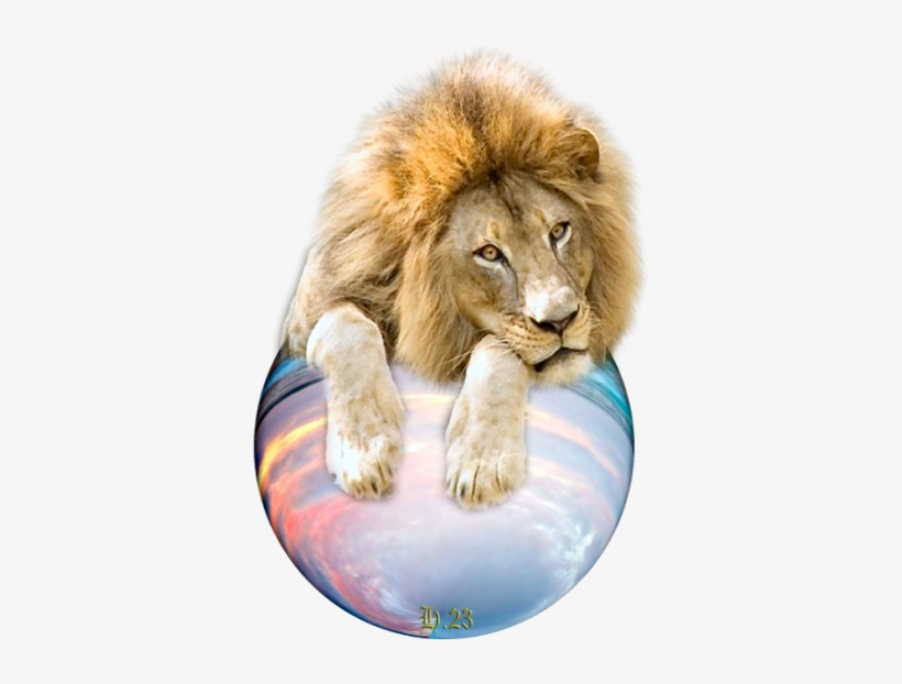 Wir Sekilleri, transparent png #3635376