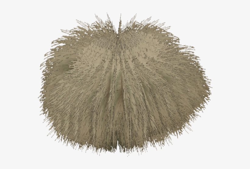 Grass - Wiki, transparent png #3635447